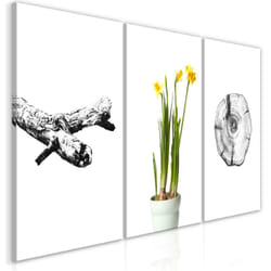 Tableau Fleurs Nature (Collection) - PD11387-120-60