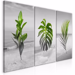 Planete Discount PD11388-120-60, Fleurs variées, Vert, Gris, Panneaux MDF, 1200 mm, 20 mm, 600 mm
