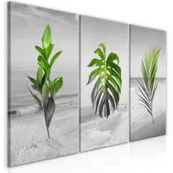 Tableau Fleurs Plants (Collection) - PD11388-120-60
