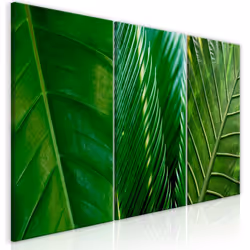Planete Discount PD10240-120-60, Arbres, Vert, Panneaux MDF, 1200 mm, 20 mm, 600 mm