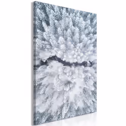Planete Discount PD10249-80-120, Forêt, Vert, Blanc, Panneaux MDF, 800 mm, 20 mm, 1200 mm