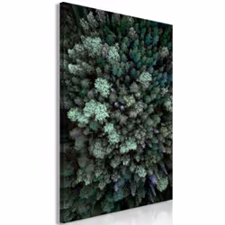 Planete Discount PD10250-80-120, Forêt, Noir, Vert, Panneaux MDF, 800 mm, 20 mm, 1200 mm