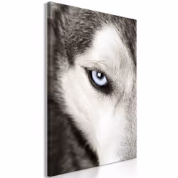 Planete Discount PD8528-40-60, Chiens, Noir, Bleu, Blanc, Panneaux MDF, 400 mm, 20 mm, 600 mm