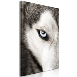 Tableau Dog's Look 1 Pièce Vertical - PD8528-80-120