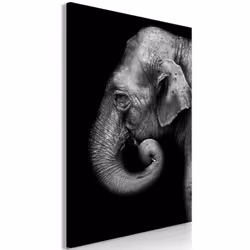 Planete Discount PD8531-80-120, Éléphants, Noir, Blanc, Panneaux MDF, 800 mm, 20 mm, 1200 mm