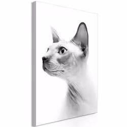 Planete Discount PD8532-80-120