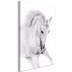 Planete Discount PD8533-80-120