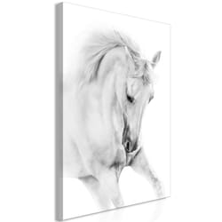 Tableau White Horse 1 Pièce Vertical - PD8533-80-120