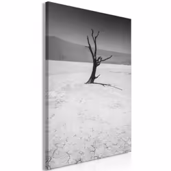 Planete Discount PD10266-80-120, Noir, Blanc, Panneaux MDF, 800 mm, 20 mm, 1200 mm