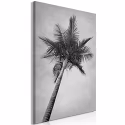Planete Discount PD10288-60-90, Arbres, Noir, Blanc, Panneaux MDF, 600 mm, 20 mm, 900 mm