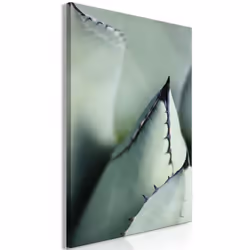 Planete Discount PD11389-80-120