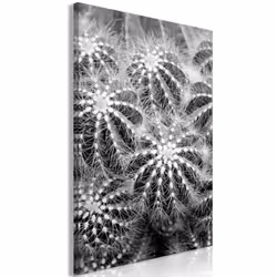 Planete Discount PD11390-60-90, Fleurs variées, Noir, Blanc, Panneaux MDF, 600 mm, 20 mm, 900 mm