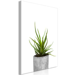 Tableau Fleurs Haworthia (1 Part) Vertical - PD11391-80-120