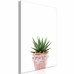 Planete Discount PD11392-80-120