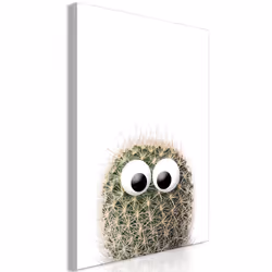Planete Discount PD11396-80-120