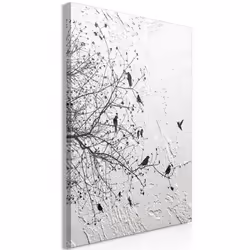 Planete Discount PD12477-80-120, Noir, Blanc, Panneaux MDF, 800 mm, 20 mm, 1200 mm