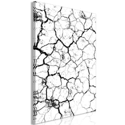 Tableau Cracked Earth (1 Part) Vertical - PD9431-80-120