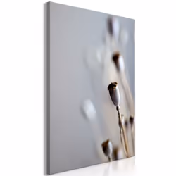 Planete Discount PD11402-80-120