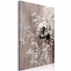 Planete Discount PD11403-80-120