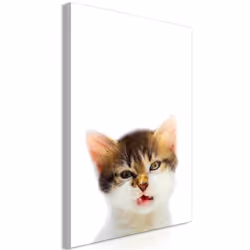 Planete Discount PD8546-80-120