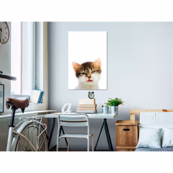 Tableau Vexed Cat 1 Pièce Vertical - PD8546-80-120