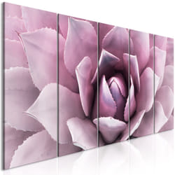 Tableau Fleurs Agave (5 Parts) Narrow Pink - PD11408-225-90