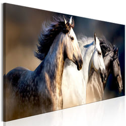 Tableau Sons of the Wind 1 Pièce Narrow - PD8583-150-50