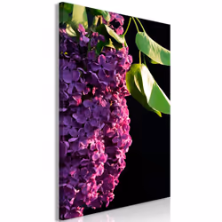 Planete Discount PD11426-80-120