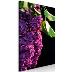 Tableau Fleurs Colours of Spring (1 Part) Vertical - PD11426-80-120