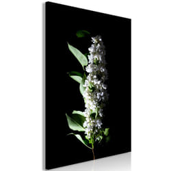 Planete Discount PD11427-40-60 tableau