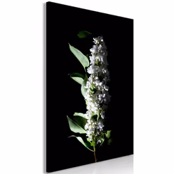Planete Discount PD11427-80-120