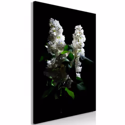 Planete Discount PD11428-80-120, Fleurs variées, Noir, Vert, Blanc, Panneaux MDF, 800 mm, 20 mm, 1200 mm