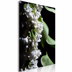 Planete Discount PD11429-80-120