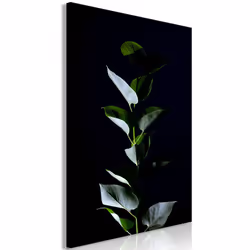 Planete Discount PD11430-80-120