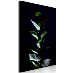 Tableau Fleurs In the Moonlight (1 Part) Vertical - PD11430-80-120