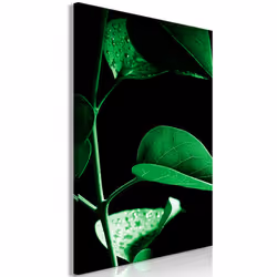 Planete Discount PD11431-40-60