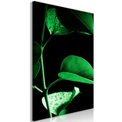 Tableau Fleurs Plant in Black (1 Part) Vertical - PD11431-80-120