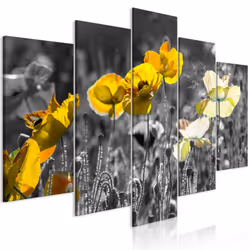 Planete Discount PD11432-200-100, Coquelicots, Gris, Jaune, Panneaux MDF, 2000 mm, 20 mm, 1000 mm