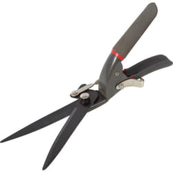 Proline Tools 40052 Cisaille et taille-haies