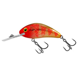 Leurre Salmo rattlin hornet 35 cm - rouge/jaune - TU