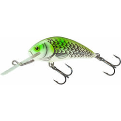 Leurre flottant Salmo hornet 35 cm - vert - TU