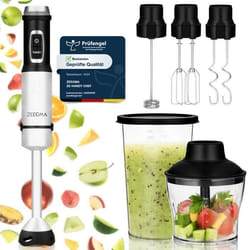 Mixeur plongeant 5en1 Zeegma Handy Chef - 1500W - 15 vitesses - Sans BPA - Lames en acier inox - 800 ml