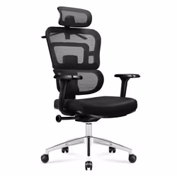 Chaise de bureau - MARK ADLER - Expert 4.9 - Ergonomique - Support lombaire - Tissu Mesh HD
