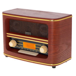 Adler AD 1187 Radio portable Numérique Marron