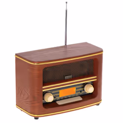 Adler AD 1187 Radio portable Numérique Marron