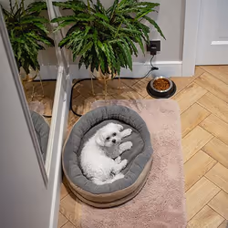 Camry Premium CR 7431 coussin pour chiens et chats Lit chauffant pour animaux - Vue supplémentaire 9