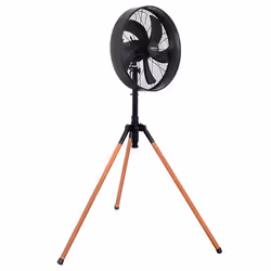 Camry Premium CR 7329 ventilateur Noir, Pin