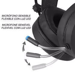 ERT Group LCMHPGAVEN002 Multicolore
