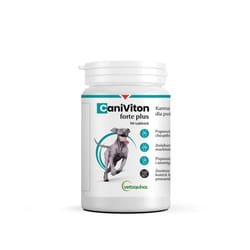 Vetoquinol Caniviton Forte Plus Chien Comprimé