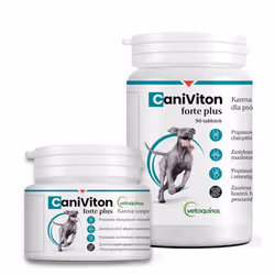 Vetoquinol Caniviton Forte Plus Chien Comprimé